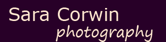 Sara Corwin - Headshot Photographer in L.A.